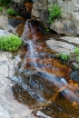 _mg_2076_14659778754_o