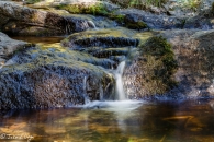 _mg_2122_14475354970_o