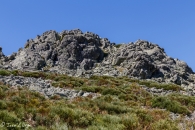 _mg_2182_14475405448_o