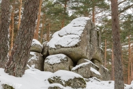 MG_6325
