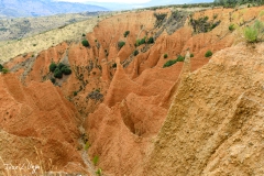 Las Cárcavas