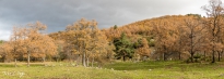 M5A3282-Pano