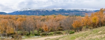 M5A3627-Pano-Editar