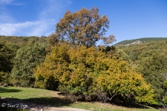 MG_3744