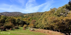 MG_3763