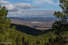 MG_7258