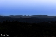 MG_0965