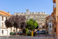 MG_8401