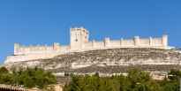 MG_8436