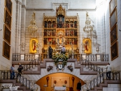 MG_3873-2