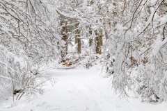 Chorrera de Mojonavalle