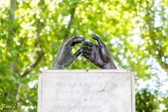 J5A0826-20260418