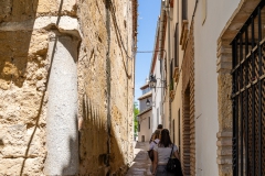 J5A0871-20260418