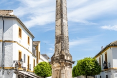 J5A0980-20260418