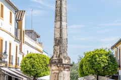 J5A0982-20260418