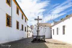 J5A1037-20260418