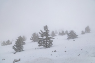 The surroundings of the Valsequi ski resort in Madrid during the snowfall of March 2025.