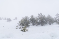 The surroundings of the Valsequi ski resort in Madrid during the snowfall of March 2025.