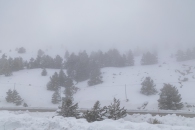 The surroundings of the Valsequi ski resort in Madrid during the snowfall of March 2025.