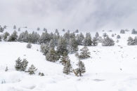 The surroundings of the Valsequi ski resort in Madrid during the snowfall of March 2025.