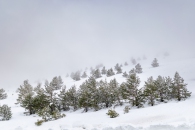 The surroundings of the Valsequi ski resort in Madrid during the snowfall of March 2025.