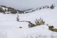 The surroundings of the Valsequi ski resort in Madrid during the snowfall of March 2025.