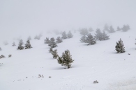 The surroundings of the Valsequi ski resort in Madrid during the snowfall of March 2025.