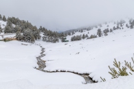 The surroundings of the Valsequi ski resort in Madrid during the snowfall of March 2025.