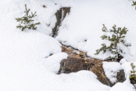 The surroundings of the Valsequi ski resort in Madrid during the snowfall of March 2025.