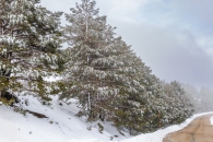 The surroundings of the Valsequi ski resort in Madrid during the snowfall of March 2025.