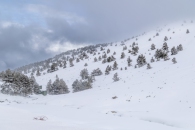 The surroundings of the Valsequi ski resort in Madrid during the snowfall of March 2025.