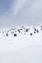 The surroundings of the Valsequi ski resort in Madrid during the snowfall of March 2025.