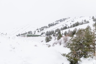 The surroundings of the Valsequi ski resort in Madrid during the snowfall of March 2025.