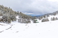 The surroundings of the Valsequi ski resort in Madrid during the snowfall of March 2025.