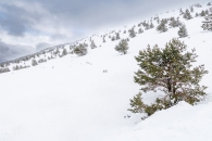 The surroundings of the Valsequi ski resort in Madrid during the snowfall of March 2025.
