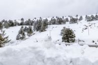 The surroundings of the Valsequi ski resort in Madrid during the snowfall of March 2025.