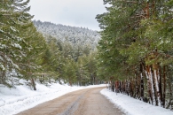 The surroundings of the Valsequi ski resort in Madrid during the snowfall of March 2025.