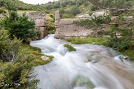 MG_0105