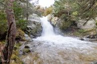 MG_0229