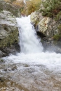 MG_0244