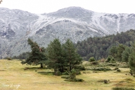 MG_9738