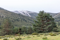 MG_9743