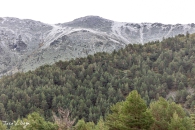 MG_9744
