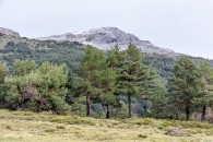 MG_9749