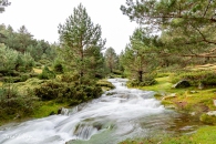 MG_9781-Editar