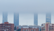 Niebla