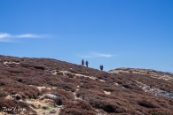 IMG_9223