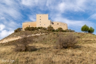 MG_8648