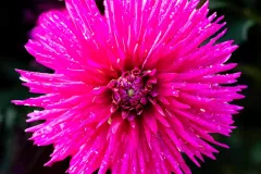 J5A3525-20260929