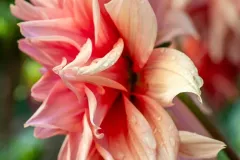 J5A3612-20260929